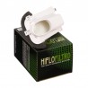 Filtro de aire lado Izquierdo Hiflofiltro HFA4508 *