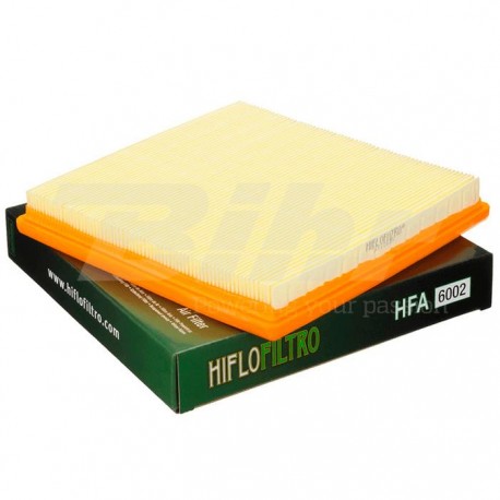 Filtro de aire Hiflofiltro HFA6002